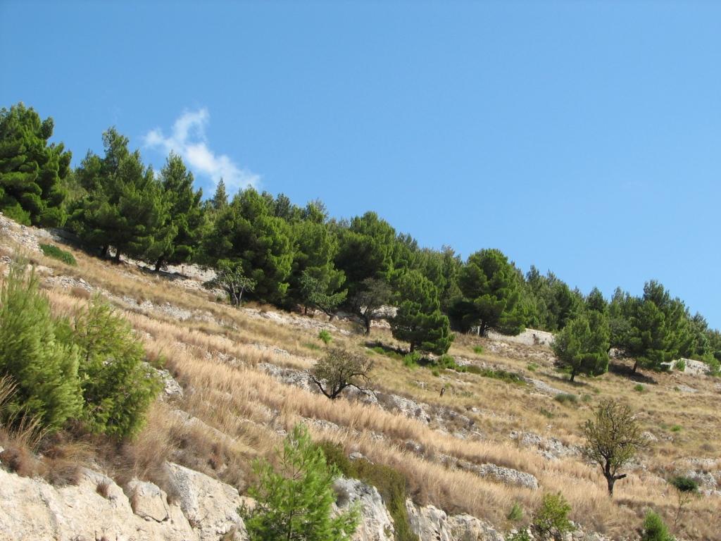 piccola escursione sul Gargano